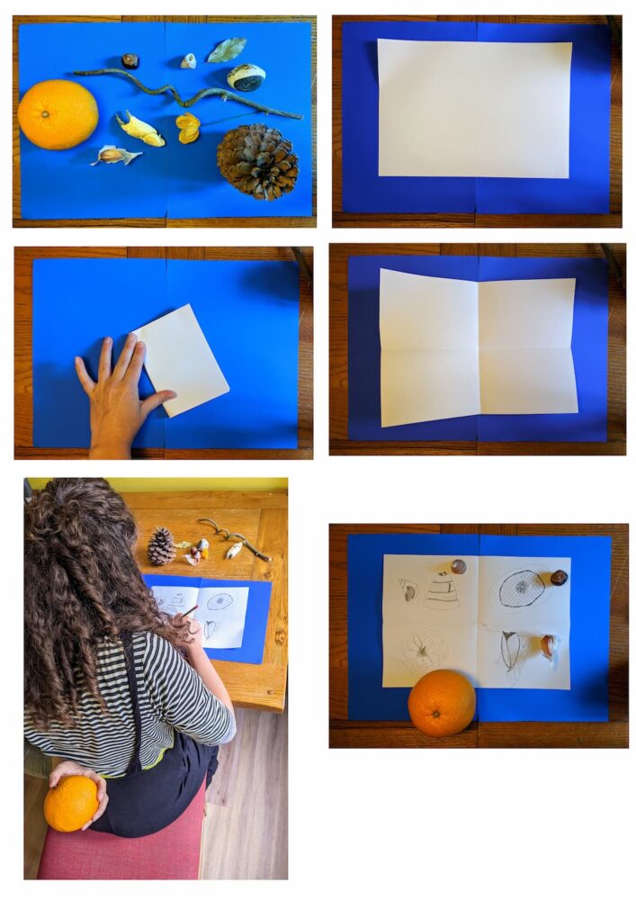 6 photos in sequence. The top left image shows a selection of items found at home including a pinecone and an orange. The next image shows a sheet of A4 paper. Image three shows a hand folding the paper into 4. The fourth image shows a page folded into 4. The 5th image shows a person holding an orange behind her back with the left hand, and using her right hand to draw the object. The final sixth image shows four drawing in each corner of the paper done by holding the item behind her back and feeling it.
