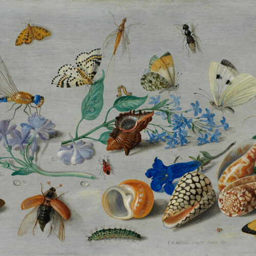A colourful oil painting of insects, shells, and flowers, including a caterpillar, butterflies, beetles. flies and blue and purple flowers.